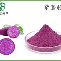 紫薯浓缩粉 全水溶紫薯粉