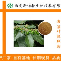 布渣叶粉 布渣叶提取物 破布叶浓缩粉 薢宝叶浸膏粉 价格