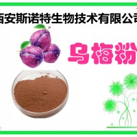 乌梅提取物 乌梅粉 斯诺特生物 10年老厂