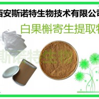 白果槲寄生提取物 白果槲寄生粉 10:1 质量稳定