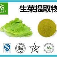 生菜提取物 生菜粉 蔬菜粉源头厂家 专业生产供应
