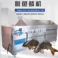 鱼鳞机 大洋供应无损伤型鲜鱼去鳞设备 刮鱼鳞机