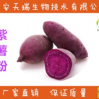 紫薯粉  紫薯提取物     价格优惠