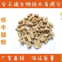 怀牛膝粉-厂家   怀牛膝提取物