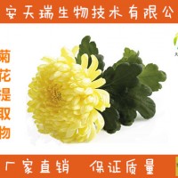 菊花提取物    菊花粉-价格