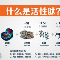 苦瓜肽  苦瓜小分子肽