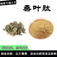 桑叶肽  分子量300道尔顿