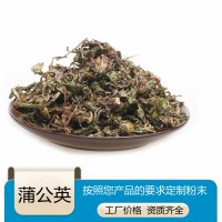 蒲公英粉供应 斯诺特生物 外检三方 包邮定制