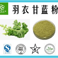 羽衣甘蓝粉 羽衣甘蓝粉 果蔬粉厂家 批发零售