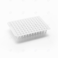 pcr板 0.2ml96孔PCR板 无裙边 96孔反应板