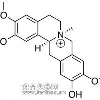 黄柏碱分析标准品  Phellodendrine