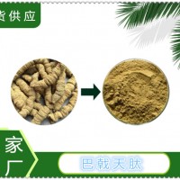 巴戟天肽速溶现货供应