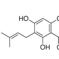 黄腐醇标准品 Xanthohumol