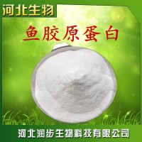 厂家直销鱼胶原蛋白使用说明报价添加量用途