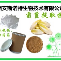 菊苣提取物 菊苣粉 原料植提 TLC检测