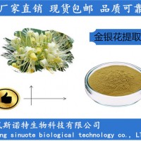 金银花提取物 绿原酸5% 金银花萃取粉厂家