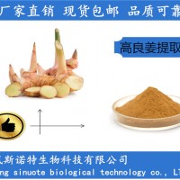 高良姜提取物 10:1萃取高良姜粉厂家