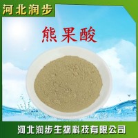 枇杷叶 植物提取物 熊果酸 枇杷叶提取物 营养强化剂