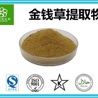 专业植提厂家供应：金 钱草提取物10:1 铜钱草提取物 黄酮