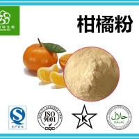 柑橘果粉 柑橘粉 厂家批发饮料果粉原料 水果粉