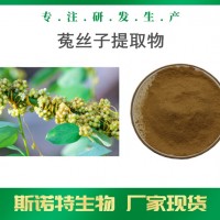 菟丝子提取物 厂家现货供应 菟丝子浓缩粉