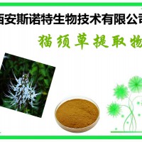 猫须草提取物 10:1 猫须草粉价格 多少包邮