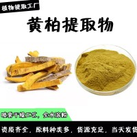 黄柏提取物  黄柏浓缩粉