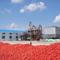 番茄酱生产线供应