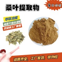 桑叶提取物  食品原料  桑叶粉