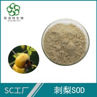 刺梨提取物SOD 1w活性 刺梨粉 超氧化物歧化酶