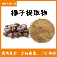 榧子提取物  生产量大  榧子粉