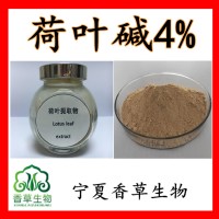 荷叶碱4%  荷叶提取物荷叶粉 莲叶提取物