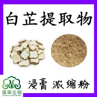 白芷提取物 白芷粉 川白芷浓缩粉20:1 白芷提取液 浸膏