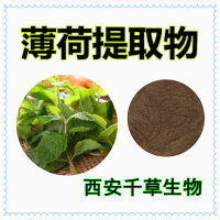 香薷草提取物香薷草浓缩浸膏粉 供应植物提取物薄荷萃取粉