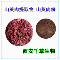 红枣皮提取物 供应植物提取物山茱萸浓缩浸膏粉