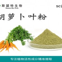 胡萝卜叶粉 胡萝卜叶提取物 工厂大量现货