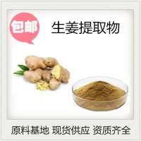 干姜粉 斯诺特生物 资质全 姜辣素浓缩提取喷雾干燥