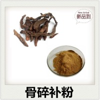 骨碎补浓缩粉 斯诺特生物