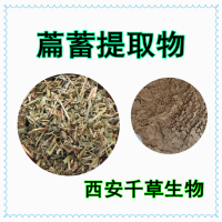 粉节草提取物粉节草浓缩粉节草浸膏粉