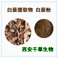 白根提取物白根浓缩粉白根浸膏粉