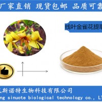 线叶金雀花提取物 速溶现货 厂家供应