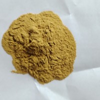 牛蒡根提取物 牛蒡根浓缩粉