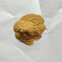 金银花提取物 新食品金银花浓缩粉