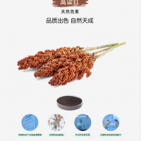 高梁红色素sorghum red 食品分类号12.10