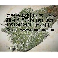 翻白草提取物  专业生产商