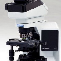 奥林巴斯BX43荧光生物显微镜原装