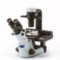 CKX53奥林巴斯荧光倒置显微镜