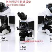 奥林巴斯正置荧光显微镜BX43成像系统