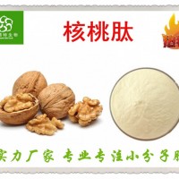 核桃肽 核桃低聚肽85%规格 小分子肽厂家