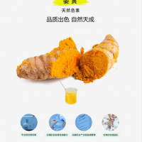 姜黄食品分类号03.01靖浩生物食品原料供应